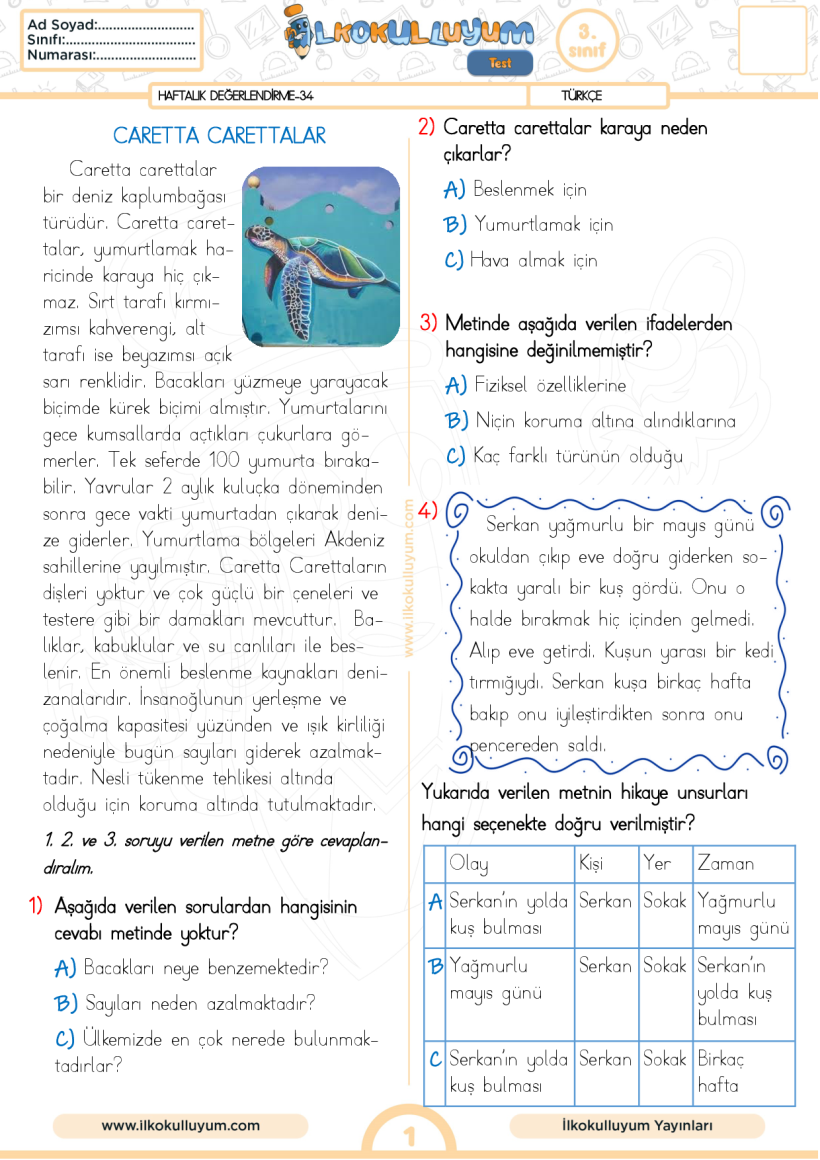 3.Sınıf 34. Hafta-Haftalık Değerlendirme (30 soru)